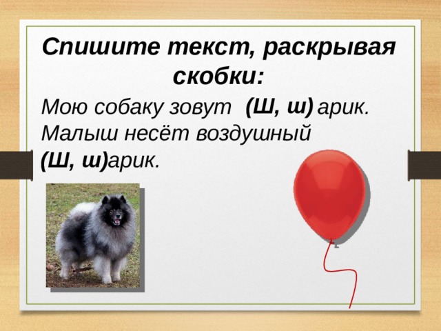 Спишите текст, раскрывая скобки: (Ш, ш) Мою собаку зовут арик. Малыш несёт воздушный  арик. (Ш, ш) 