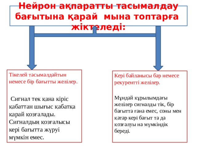 Нейрон ақпаратты тасымалдау бағытына қарай мына топтарға жіктеледі: Тікелей тасымалдайтын немесе бір бағытты желілер.  Сигнал тек қана кіріс қабаттан шығыс қабатқа қарай қозғалады. Сигналдың қозғалысы кері бағытта жүруі мүмкін емес. Кері байланысы бар немесе рекурентті желілер . Мұндай құрылымдағы желілер сигналды тік, бір бағытта ғана емес, соны мен қатар кері бағыт та да қозғалуы на мүмкіндік береді.   