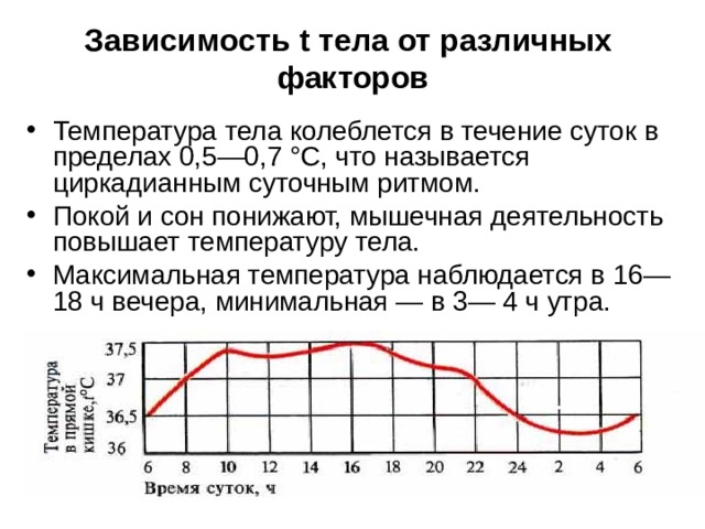 Зависимость t тела от различных факторов Температура тела колеблется в течение суток в пределах 0,5—0,7 °С, что называется циркадианным суточным ритмом. Покой и сон понижают, мышечная деятельность повышает температуру тела. Максимальная температура наблюдается в 16—18 ч вечера, минимальная — в 3— 4 ч утра. 