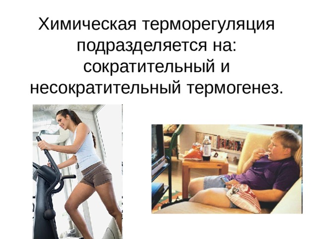 Химическая терморегуляция подразделяется на: сократительный и несократительный термогенез. 