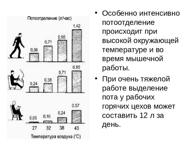 Особенно интенсивно потоотделение происходит при высокой окружающей температуре и во время мышечной работы. При очень тяжелой работе выделение пота у рабочих горячих цехов может составить 12 л за день. 