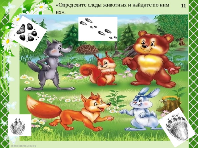 «Определите следы животных и найдите по ним их».  