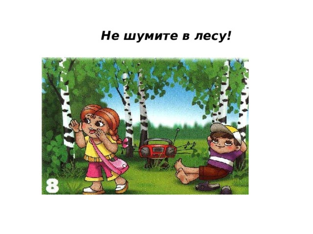 Не шумите в лесу! 