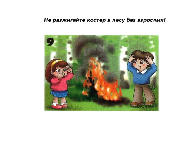 Не разжигайте костер в лесу без взрослых! 