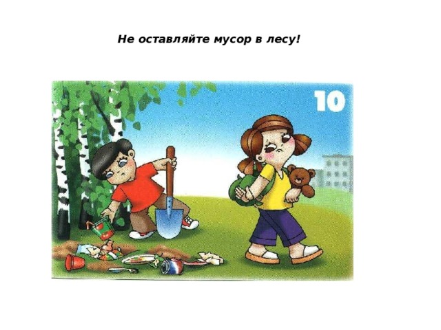 Не оставляйте мусор в лесу! 