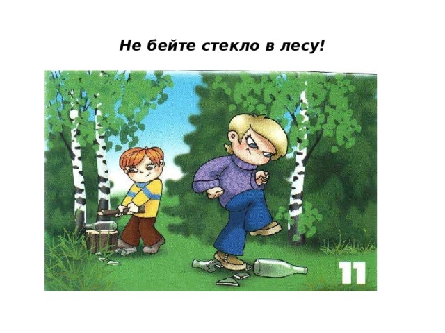 Не бейте стекло в лесу! 