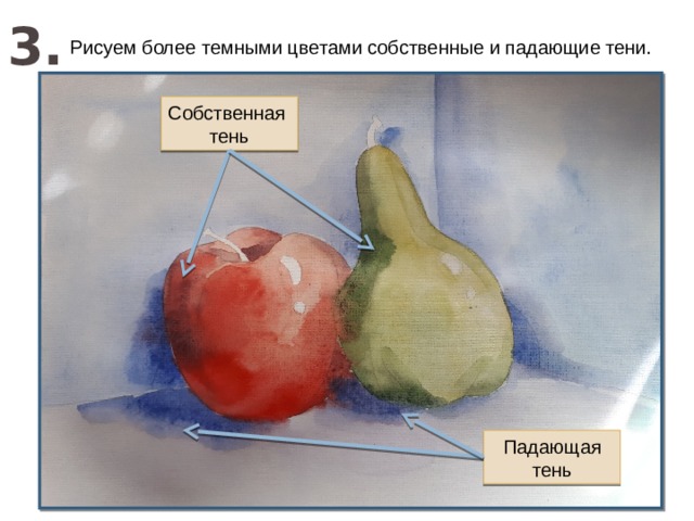3. Рисуем более темными цветами собственные и падающие тени. Собственная тень Падающая тень 