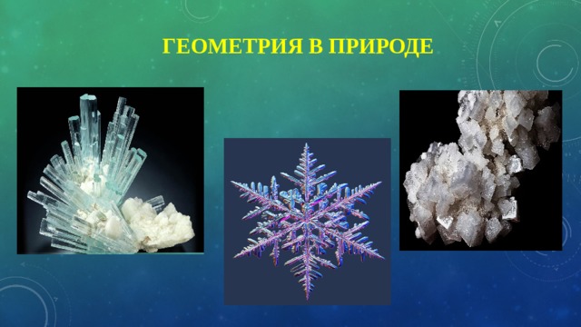  Геометрия в природе 