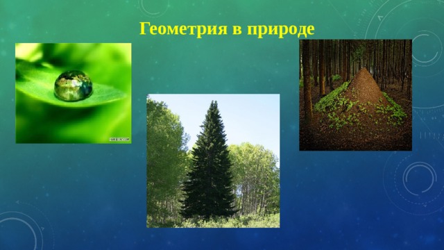 Геометрия в природе 