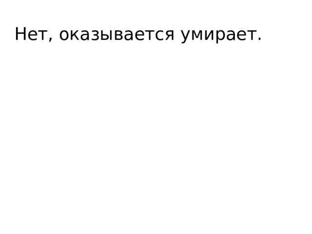 Нет, оказывается умирает. 