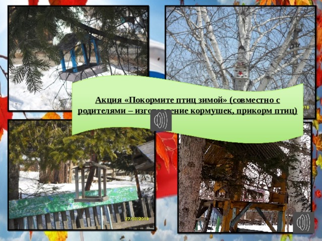 Акция «Покормите птиц зимой» (совместно с родителями – изготовление кормушек, прикорм птиц) 