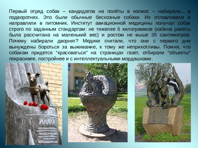 Первый отряд собак – кандидатов на полёты в космос – набирали... в подворотнях. Это были обычные бесхозные собаки. Их отлавливали и направляли в питомник. Институт авиационной медицины получал собак строго по заданным стандартам: не тяжелее 6 килограммов (кабина ракеты была рассчитана на маленький вес) и ростом не выше 35 сантиметров. Почему набирали дворняг? Медики считали, что они с первого дня вынуждены бороться за выживание, к тому же неприхотливы. Помня, что собакам придется 