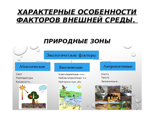 ХАРАКТЕРНЫЕ ОСОБЕННОСТИ ФАКТОРОВ ВНЕШНЕЙ СРЕДЫ.    ПРИРОДНЫЕ ЗОНЫ 