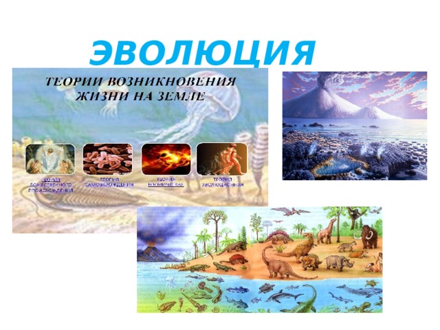 ЭВОЛЮЦИЯ 