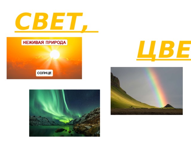 СВЕТ,  ЦВЕТ 