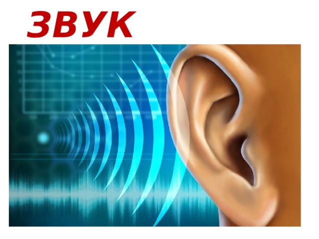 ЗВУК 