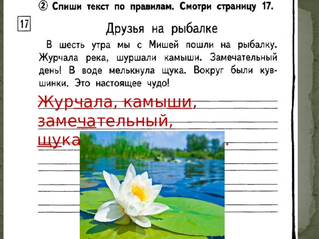 Жур ча ла, камы ши , заме ча тельный, щу ка, кув ши нки, чу до. 