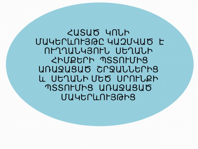 ՀԱՏԱԾ ԿՈՆԻ ՄԱԿԵՐևՈՒՅԹԸ ԿԱԶՄՎԱԾ Է ՈՒՂՂԱՆԿՅՈՒՆ ՍԵՂԱՆԻ ՀԻՄՔԵՐԻ ՊՏՏՈՒՄԻՑ ԱՌԱՋԱՑԱԾ ՇՐՋԱՆՆԵՐԻՑ և ՍԵՂԱՆԻ ՄԵԾ ՍՐՈՒՆՔԻ ՊՏՏՈՒՄԻՑ ԱՌԱՋԱՑԱԾ ՄԱԿԵՐևՈՒՅԹԻՑ 