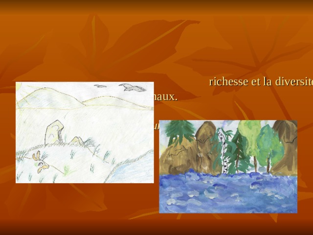Située à la frontière zoogéographique entre l’ouest et  l'est, la vallée de la Ienissei est caractérisée par la richesse et la diversité de ses plantes et de ses animaux.    Korsoun Bogdan (10)  Ckva Julia (10) 