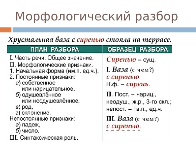 Морфологический разбор 