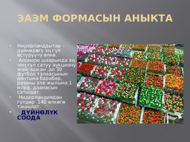 ЭАЭМ ФОРМАСЫН АНЫКТА Нидерланддытар – дүйнөдөгү эң гүл өстүрүүчү өлкө.  Алсмере шаарында эң чоң гүл сатуу аукциону жайгашкан ,ал 30 футбол талаасынын аянтына барабар, розаны эле жылына 1 млрд. даанасын сатышат.  Нидерландиядан гүлдөр 140 өлкөгө ташылат.  ДҮЙНӨЛҮК СООДА 