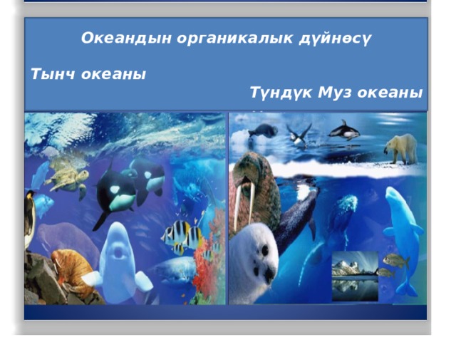 Океандын органикалык дүйнөсү  Тынч океаны Түндүк Муз океаны 