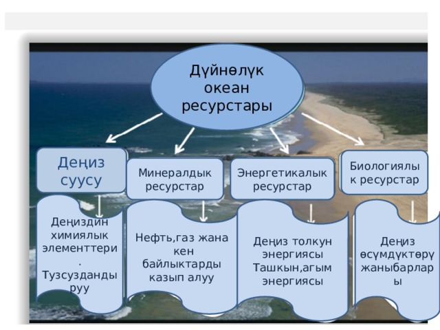 Дүйнөлүк океан ресурстары Деңиз суусу Биологиялык ресурстар Минералдык ресурстар Энергетикалык ресурстар Деңиздин химиялык элементтери. Тузсуздандыруу Нефть,газ жана Деңиз толкун энергиясы Деңиз өсүмдүктөрү  кен байлыктарды казып алуу Ташкын,агым энергиясы жаныбарлары 