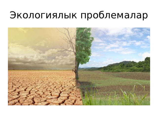 Экологиялык проблемалар 