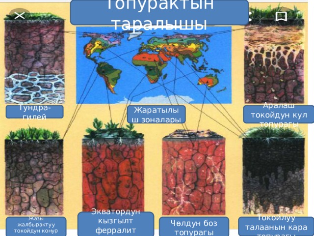 Топурактын таралышы Тундра-гилей Жаратылыш зоналары Аралаш токойдун кул топурагы Экватордун кызгылт ферралит топурагы Жазы жалбырактуу токойдун конур топурагы Токойлуу талаанын кара топурагы Чөлдун боз топурагы 