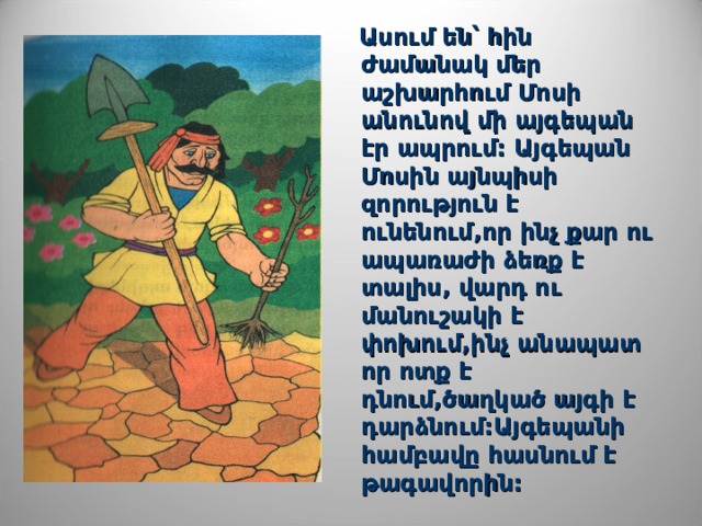  Ասում են՝ հին ժամանակ մեր աշխարհում Մոսի անունով մի այգեպան էր ապրում: Այգեպան Մոսին այնպիսի զորություն է ունենում,որ ինչ քար ու ապառաժի ձեռք է տալիս, վարդ ու մանուշակի է փոխում,ինչ անապատ որ ոտք է դնում,ծաղկած այգի է դարձնում:Այգեպանի համբավը հասնում է թագավորին:  