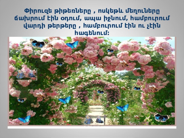 Փիրուզե թիթեռները , ոսկեթ և մեղուները ճախրում էին օդում, ապա իջնում, համբուրում վարդի թերթերը , համբուրում էին ու չէին հագենում : 