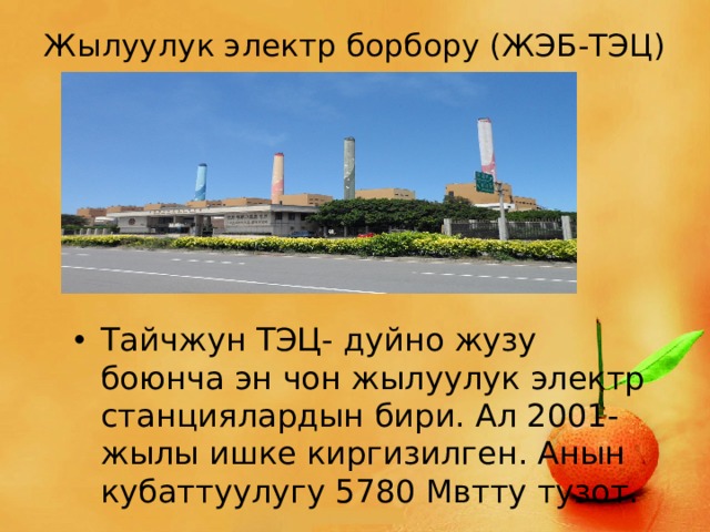 Жылуулук электр борбору (ЖЭБ-ТЭЦ) Тайчжун ТЭЦ- дуйно жузу боюнча эн чон жылуулук электр станциялардын бири. Ал 2001-жылы ишке киргизилген. Анын кубаттуулугу 5780 Мвтту тузот. 