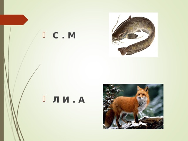  С . М  Л И . А 