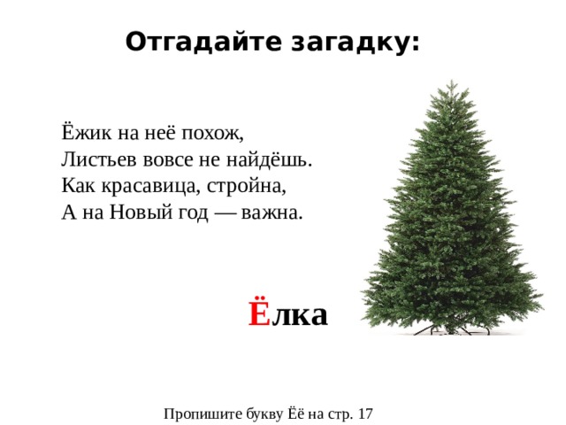 Отгадайте загадку: Ёжик на неё похож, Листьев вовсе не найдёшь. Как красавица, стройна, А на Новый год — важна. Ё лка Пропишите букву Ёё на стр. 17 