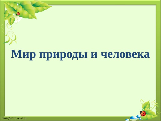 Мир природы и человека 
