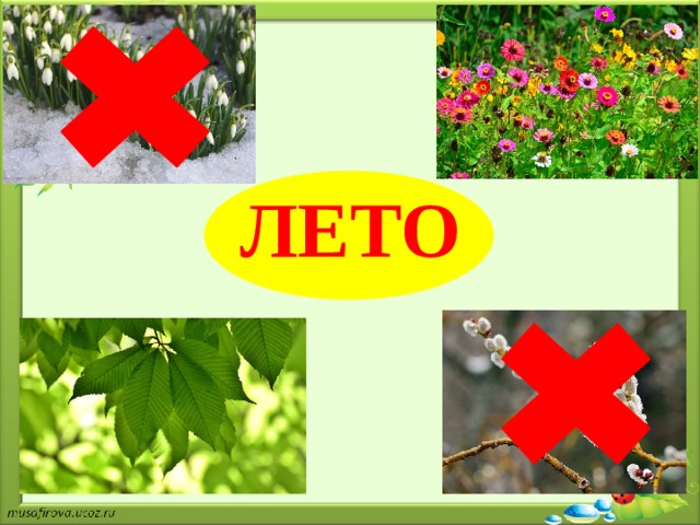 ЛЕТО 