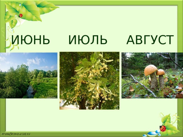 ИЮНЬ ИЮЛЬ АВГУСТ 