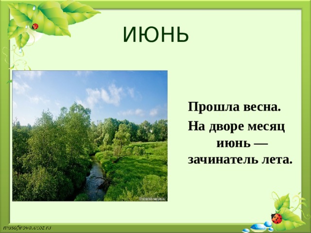 ИЮНЬ Прошла весна. На дворе месяц июнь — зачинатель лета. 