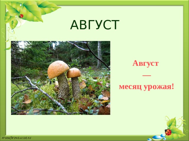 АВГУСТ Август — месяц урожая! 