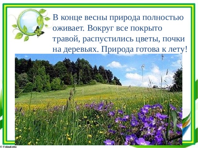 В конце весны природа полностью оживает. Вокруг все покрыто травой, распустились цветы, почки на деревьях. Природа готова к лету! 