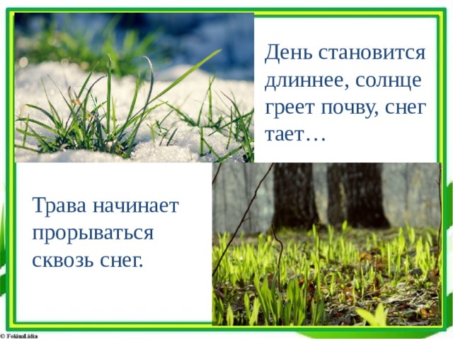 День становится длиннее, солнце греет почву, снег тает… Трава начинает прорываться сквозь снег. 