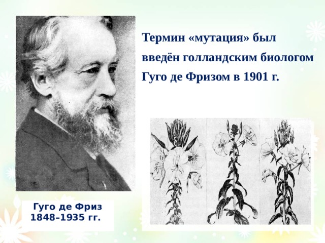 Термин «мутация» был введён голландским биологом Гуго де Фризом в 1901 г.    Гуго де Фриз  1848–1935 гг. 
