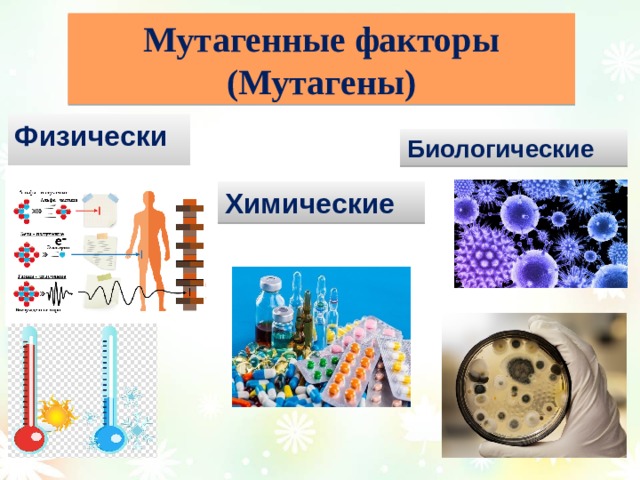 Мутагенные факторы (Мутагены) Физические Биологические Химические 