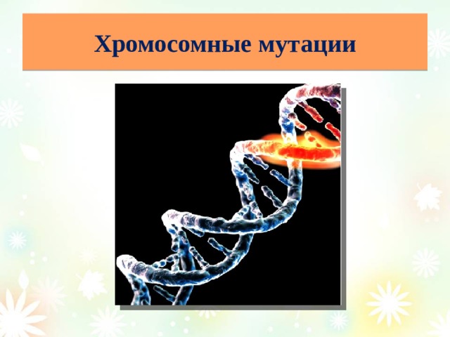 Хромосомные мутации 