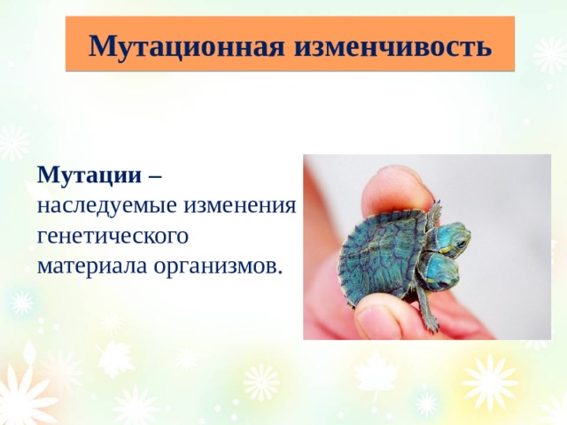 Мутационная изменчивость Мутации – наследуемые изменения генетического материала организмов. 