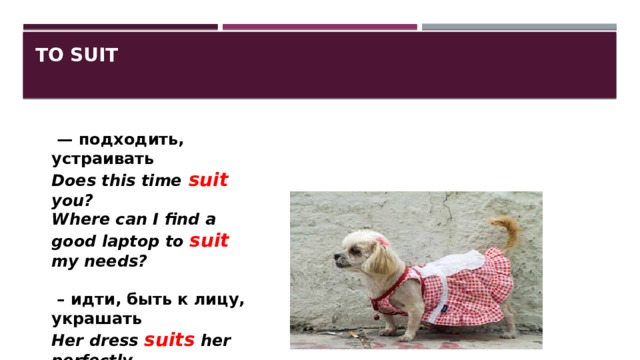 to suit   — подходить, устраивать Does this time suit you? Where can I find a good laptop to suit my needs?  – идти, быть к лицу, украшать Her dress suits her perfectly. 