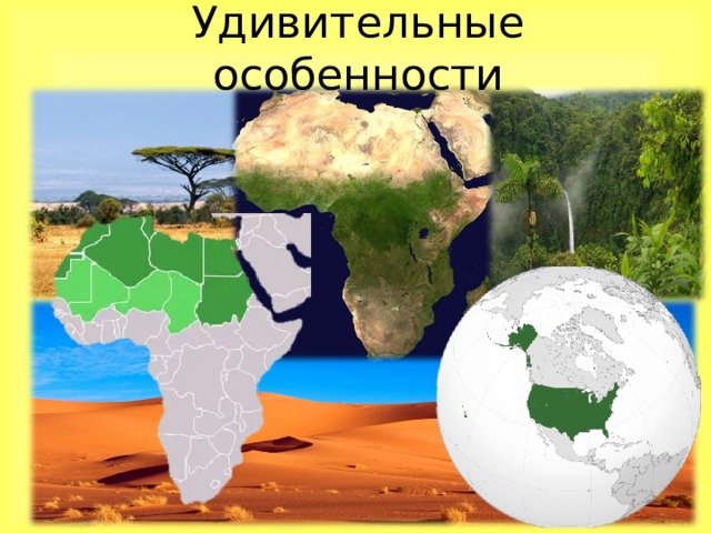 Удивительные особенности 