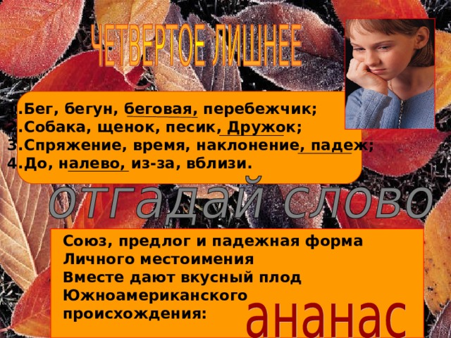 Бег, бегун, беговая, перебежчик; Собака, щенок, песик, Дружок; Спряжение, время, наклонение, падеж; До, налево, из-за, вблизи. Союз, предлог и падежная форма Личного местоимения Вместе дают вкусный плод Южноамериканского происхождения:  