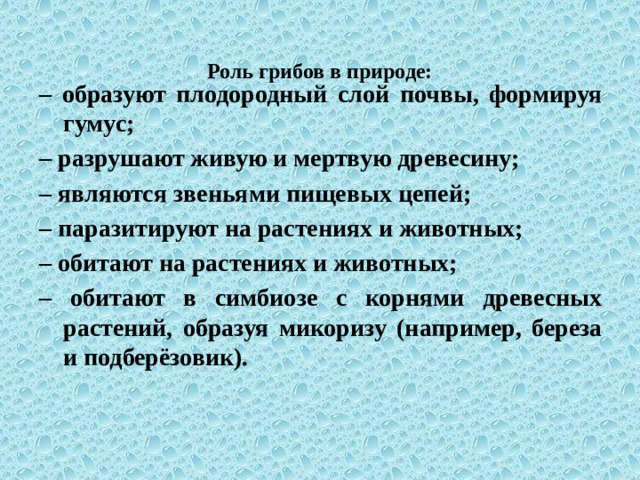 Роль грибов в природе: – образуют плодородный слой почвы, формируя гумус; – разрушают живую и мертвую древесину; – являются звеньями пищевых цепей; – паразитируют на растениях и животных; – обитают на растениях и животных; – обитают в симбиозе с корнями древесных растений, образуя микоризу (например, береза и подберёзовик). 