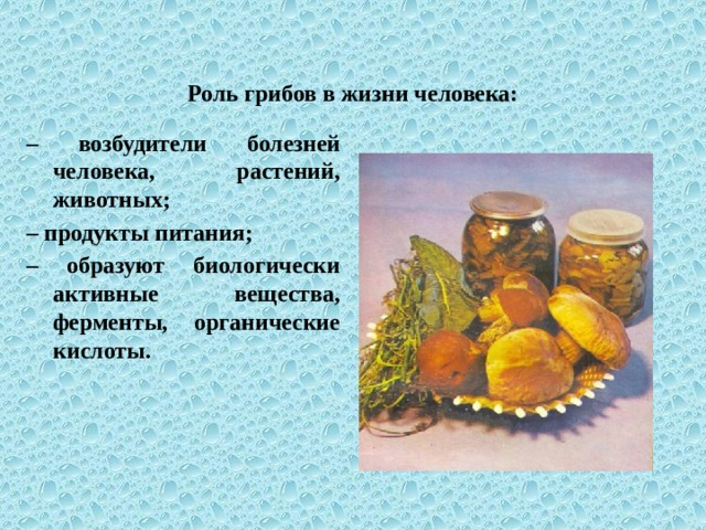 Роль грибов в жизни человека: – возбудители болезней человека, растений, животных; – продукты питания; – образуют биологически активные вещества, ферменты, органические кислоты.  